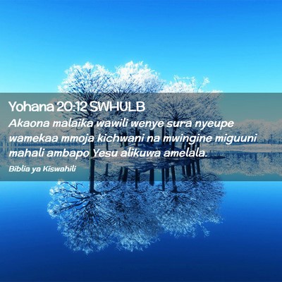 Picture 02 - Yohana 20:12 SWHULB - Akaona malaika wawili wenye sura nyeupe wamekaa - Bible Verse Picture