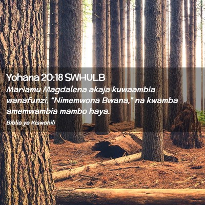 Picture 02 - Yohana 20:18 SWHULB - Mariamu Magdalena akaja kuwaambia wanafunzi, - Bible Verse Picture