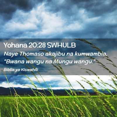 Picture 02 - Yohana 20:28 SWHULB - Naye Thomaso akajibu na kumwambia, “Bwana wangu - Bible Verse Picture
