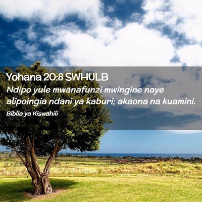 Picture 02 - Yohana 20:8 SWHULB - Ndipo yule mwanafunzi mwingine naye alipoingia - Bible Verse Picture