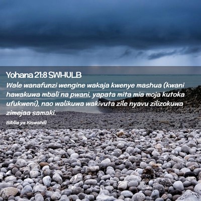 Picture 02 - Yohana 21:8 SWHULB - Wale wanafunzi wengine wakaja kwenye mashua - Bible Verse Picture