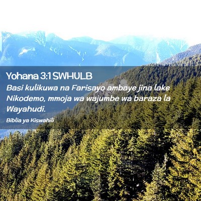 Picture 02 - Yohana 3:1 SWHULB - Basi kulikuwa na Farisayo ambaye jina lake - Bible Verse Picture