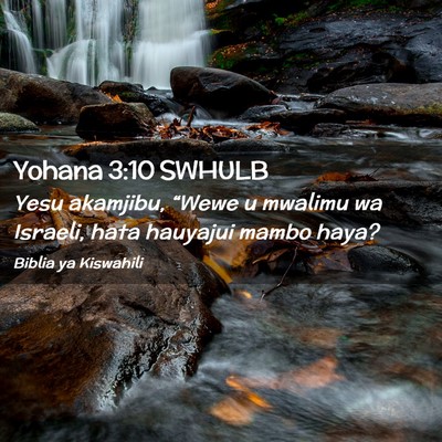 Picture 02 - Yohana 3:10 SWHULB - Yesu akamjibu, “Wewe u mwalimu wa Israeli, hata - Bible Verse Picture