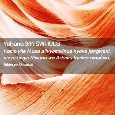 Picture 02 - Yohana 3:14 SWHULB - Kama vile Musa alivyomwinua nyoka jangwani, vivyo - Bible Verse Picture