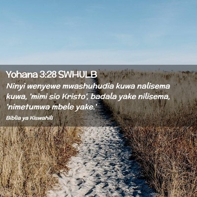 Picture 02 - Yohana 3:28 SWHULB - Ninyi wenyewe mwashuhudia kuwa nalisema kuwa, - Bible Verse Picture