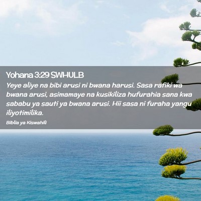 Picture 02 - Yohana 3:29 SWHULB - Yeye aliye na bibi arusi ni bwana harusi. Sasa - Bible Verse Picture