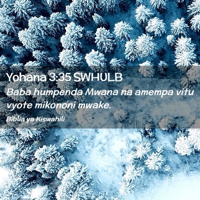 Picture 02 - Yohana 3:35 SWHULB - Baba humpenda Mwana na amempa vitu vyote mikononi - Bible Verse Picture