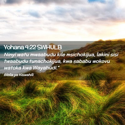 Picture 02 - Yohana 4:22 SWHULB - Ninyi watu mwaabudu kile msichokijua, lakini sisi - Bible Verse Picture