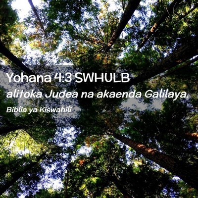 Picture 02 - Yohana 4:3 SWHULB - alitoka Judea na akaenda - Bible Verse Picture