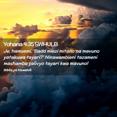 Picture 02 - Yohana 4:35 SWHULB - Je, hamsemi, 'Bado miezi mitano na mavuno - Bible Verse Picture