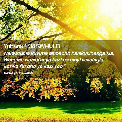 Picture 02 - Yohana 4:38 SWHULB - Niliwatuma kuvuna ambacho hamkukihangaikia, - Bible Verse Picture