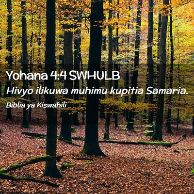 Picture 02 - Yohana 4:4 SWHULB - Hivyo ilikuwa muhimu kupitia - Bible Verse Picture