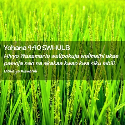 Picture 02 - Yohana 4:40 SWHULB - Hivyo Wasamaria walipokuja walimsihi akae pamoja - Bible Verse Picture