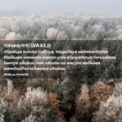 Picture 02 - Yohana 4:45 SWHULB - Alipokuja kutoka Galilaya, Wagalilaya - Bible Verse Picture
