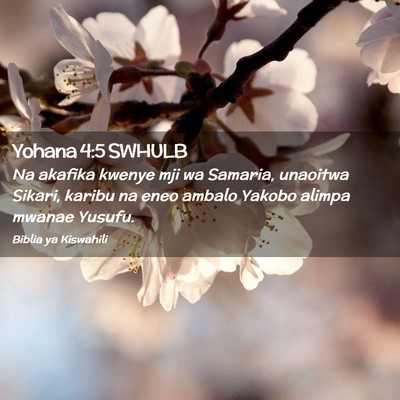 Picture 02 - Yohana 4:5 SWHULB - Na akafika kwenye mji wa Samaria, unaoitwa - Bible Verse Picture