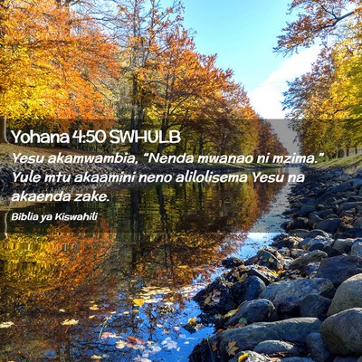Picture 02 - Yohana 4:50 SWHULB - Yesu akamwambia, “Nenda mwanao ni mzima.” - Bible Verse Picture