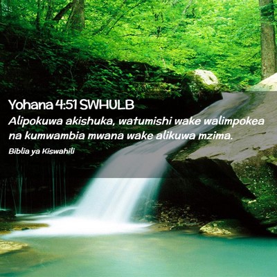 Picture 02 - Yohana 4:51 SWHULB - Alipokuwa akishuka, watumishi wake walimpokea na - Bible Verse Picture