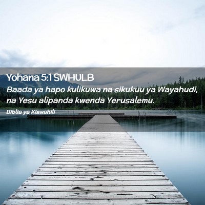 Picture 02 - Yohana 5:1 SWHULB - Baada ya hapo kulikuwa na sikukuu ya Wayahudi, na - Bible Verse Picture