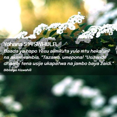 Picture 02 - Yohana 5:14 SWHULB - Baada ya hapo Yesu alimkuta yule mtu hekaluni na - Bible Verse Picture