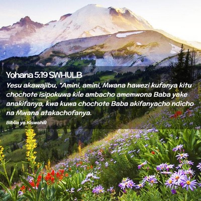 Picture 02 - Yohana 5:19 SWHULB - Yesu akawajibu, “Amini, amini, Mwana hawezi - Bible Verse Picture
