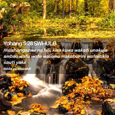Picture 02 - Yohana 5:28 SWHULB - Msishangazwe na hili, kwa kuwa wakati unakuja - Bible Verse Picture