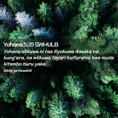 Picture 02 - Yohana 5:35 SWHULB - Yohana alikuwa ni taa iliyokuwa ikiwaka na - Bible Verse Picture