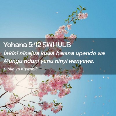 Picture 02 - Yohana 5:42 SWHULB - lakini ninajua kuwa hamna upendo wa Mungu ndani - Bible Verse Picture