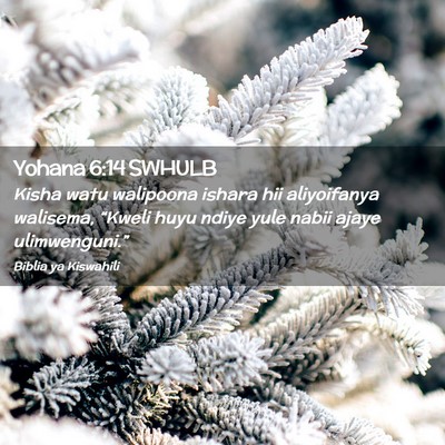 Picture 02 - Yohana 6:14 SWHULB - Kisha watu walipoona ishara hii aliyoifanya - Bible Verse Picture