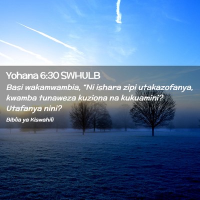 Picture 02 - Yohana 6:30 SWHULB - Basi wakamwambia, “Ni ishara zipi utakazofanya, - Bible Verse Picture