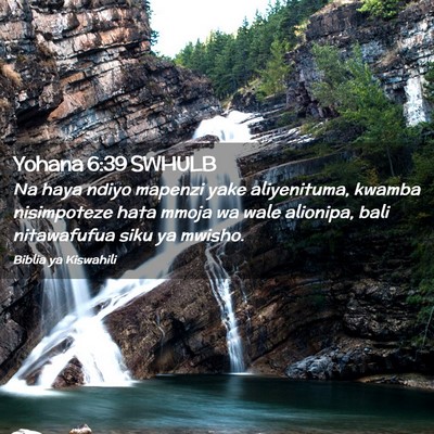 Picture 02 - Yohana 6:39 SWHULB - Na haya ndiyo mapenzi yake aliyenituma, kwamba - Bible Verse Picture