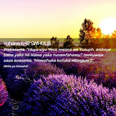 Picture 02 - Yohana 6:42 SWHULB - Wakasema, “Huyu siyo Yesu mwana wa Yusuph, - Bible Verse Picture