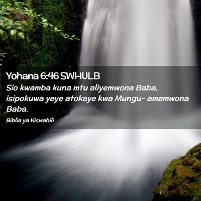 Picture 02 - Yohana 6:46 SWHULB - Sio kwamba kuna mtu aliyemwona Baba, isipokuwa - Bible Verse Picture