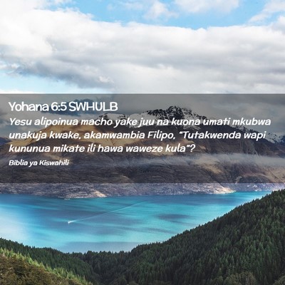 Picture 02 - Yohana 6:5 SWHULB - Yesu alipoinua macho yake juu na kuona umati - Bible Verse Picture