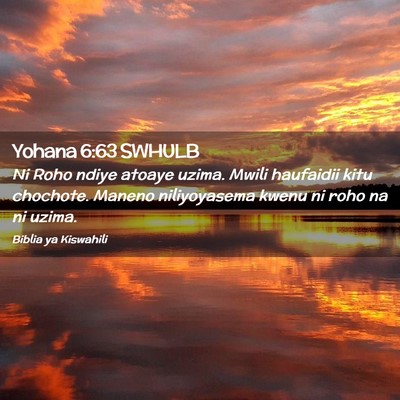 Picture 02 - Yohana 6:63 SWHULB - Ni Roho ndiye atoaye uzima. Mwili haufaidii kitu - Bible Verse Picture