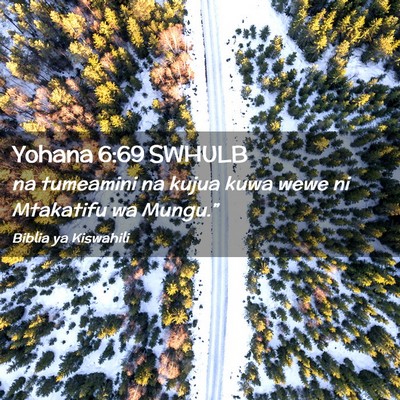 Picture 02 - Yohana 6:69 SWHULB - na tumeamini na kujua kuwa wewe ni Mtakatifu wa - Bible Verse Picture