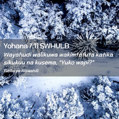 Picture 02 - Yohana 7:11 SWHULB - Wayahudi walikuwa wakimtafuta katika sikukuu na - Bible Verse Picture
