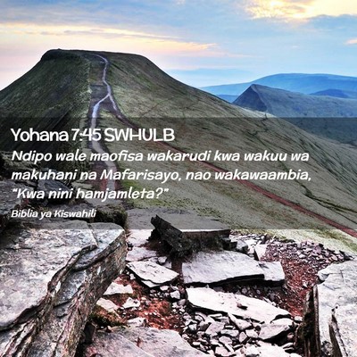 Picture 02 - Yohana 7:45 SWHULB - Ndipo wale maofisa wakarudi kwa wakuu wa makuhani - Bible Verse Picture