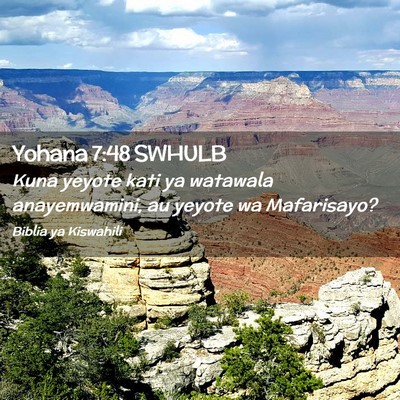 Picture 02 - Yohana 7:48 SWHULB - Kuna yeyote kati ya watawala anayemwamini, au - Bible Verse Picture