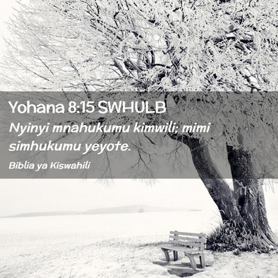 Picture 02 - Yohana 8:15 SWHULB - Nyinyi mnahukumu kimwili; mimi simhukumu - Bible Verse Picture