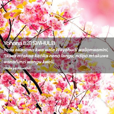 Picture 02 - Yohana 8:31 SWHULB - Yesu akasema kwa wale Wayahudi waliomwamini, - Bible Verse Picture