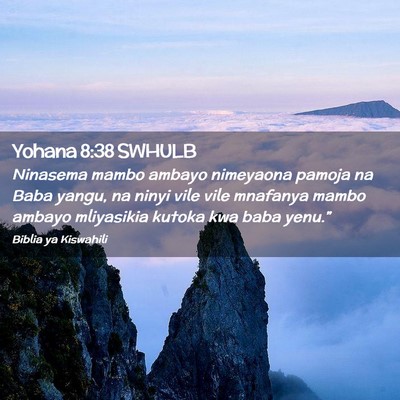 Picture 02 - Yohana 8:38 SWHULB - Ninasema mambo ambayo nimeyaona pamoja na Baba - Bible Verse Picture