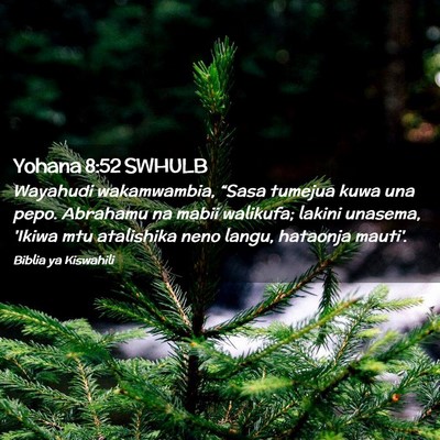 Picture 02 - Yohana 8:52 SWHULB - Wayahudi wakamwambia, “Sasa tumejua kuwa una - Bible Verse Picture