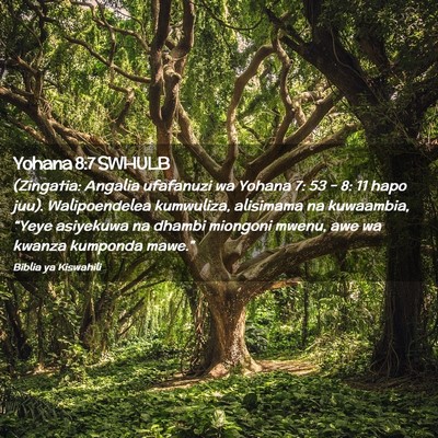 Picture 02 - Yohana 8:7 SWHULB - (Zingatia: Angalia ufafanuzi wa Yohana 7: 53 - 8: - Bible Verse Picture