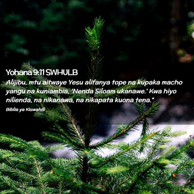 Picture 02 - Yohana 9:11 SWHULB - Alijibu, mtu aitwaye Yesu alifanya tope na kupaka - Bible Verse Picture