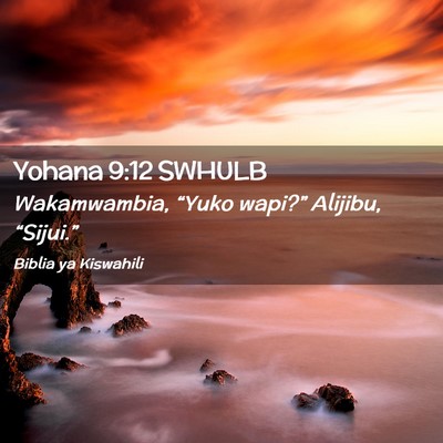 Picture 02 - Yohana 9:12 SWHULB - Wakamwambia, “Yuko wapi?” Alijibu, - Bible Verse Picture