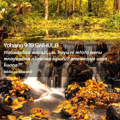 Picture 02 - Yohana 9:19 SWHULB - Waliwauliza wazazi, Je, huyu ni mtoto wenu - Bible Verse Picture