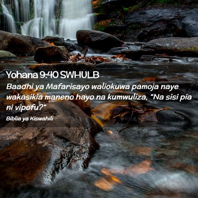 Picture 02 - Yohana 9:40 SWHULB - Baadhi ya Mafarisayo waliokuwa pamoja naye - Bible Verse Picture