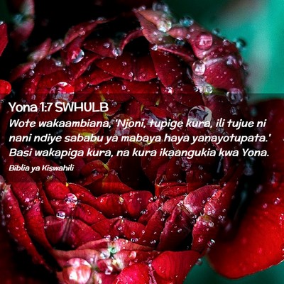 Picture 02 - Yona 1:7 SWHULB - Wote wakaambiana, 'Njoni, tupige kura, ili tujue - Bible Verse Picture