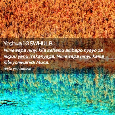 Picture 02 - Yoshua 1:3 SWHULB - Nimewapa ninyi kila sehemu ambapo nyayo za miguu - Bible Verse Picture
