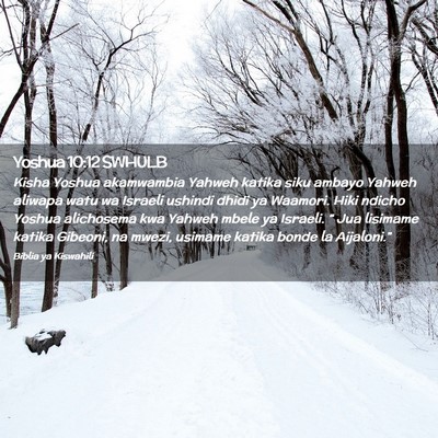 Picture 02 - Yoshua 10:12 SWHULB - Kisha Yoshua akamwambia Yahweh katika siku ambayo - Bible Verse Picture